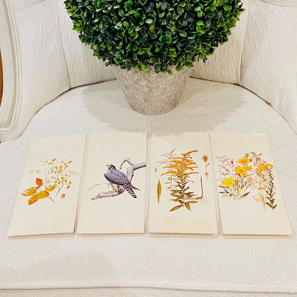 BUNDLE ONLY-Vintage Cottagecore Wildlife Art Gallery Postcard Set - Picture 1 of 10